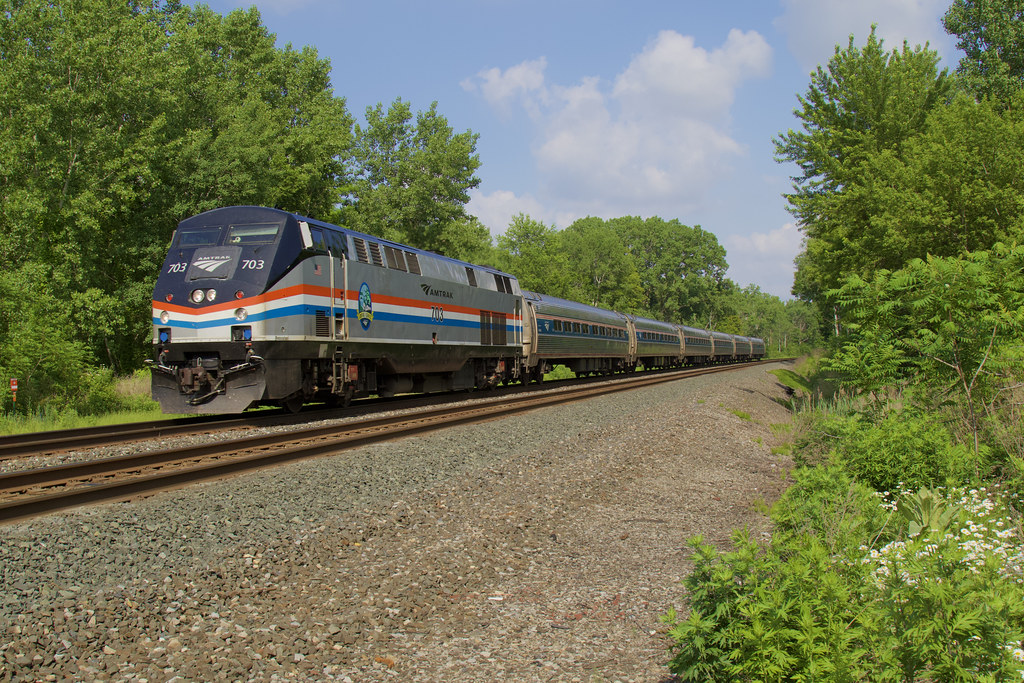 Amtrak 703 Westbound Pottery Raod, Warners, NY June 9, 202… Anthony