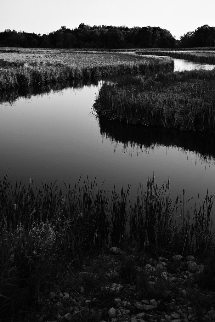 Lynde Creek Marsh SONY DSC Lee Flickr