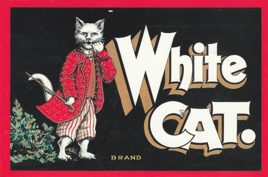 White Cat Brand NA RR June 2021 envoi de carolreader Christine C
