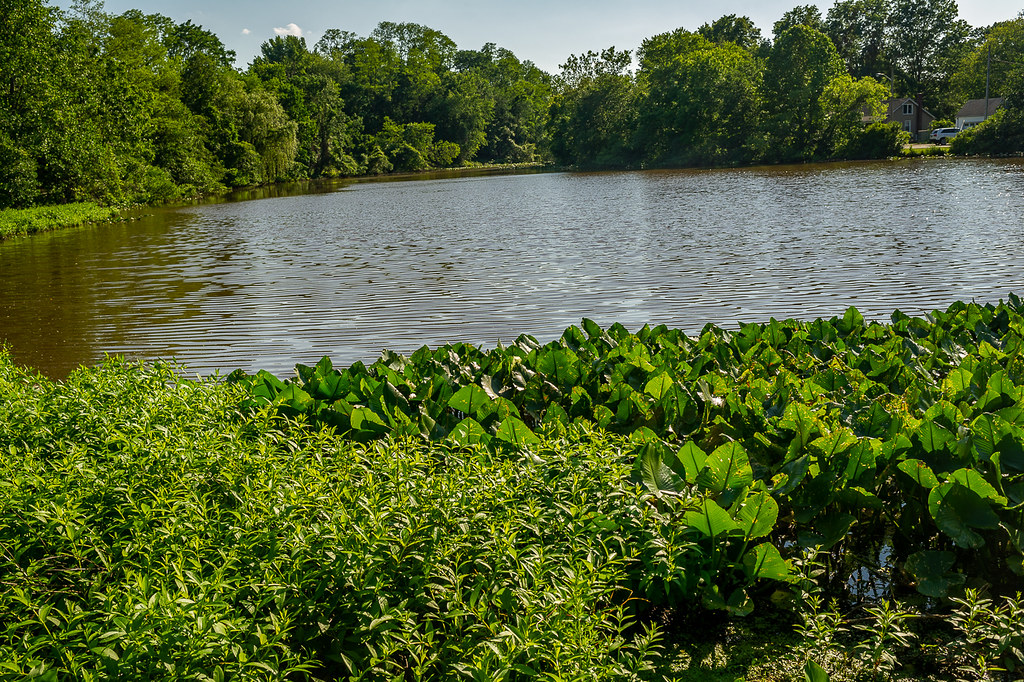 Wampum Brook Park, Eatontown, NJ Jazz Guy Flickr