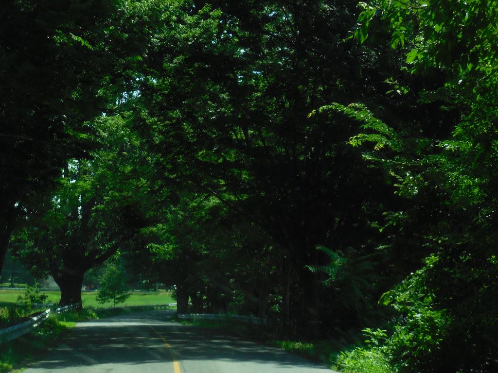 DSCN5430 Heading on down Intervale Road in Weston, Massach… Flickr