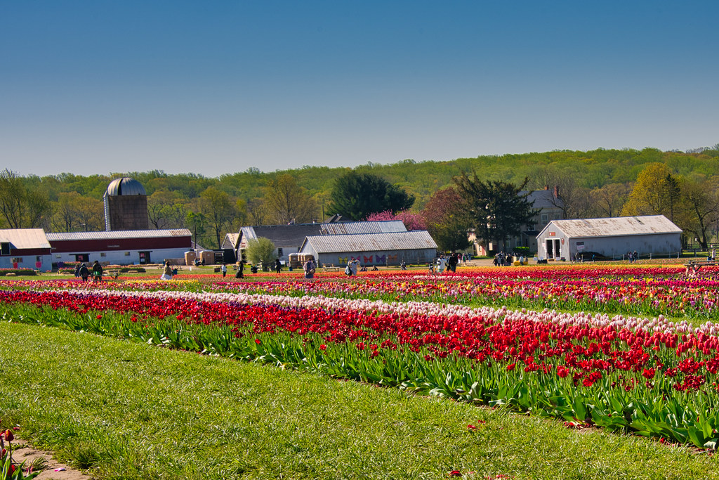 Highland Ridge Farm Flickr