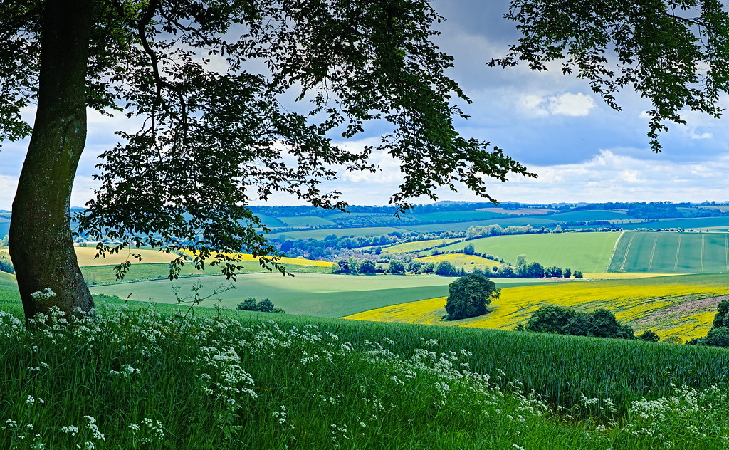 Aldbourne vista View across the Wiltshire downs to Aldbour… James
