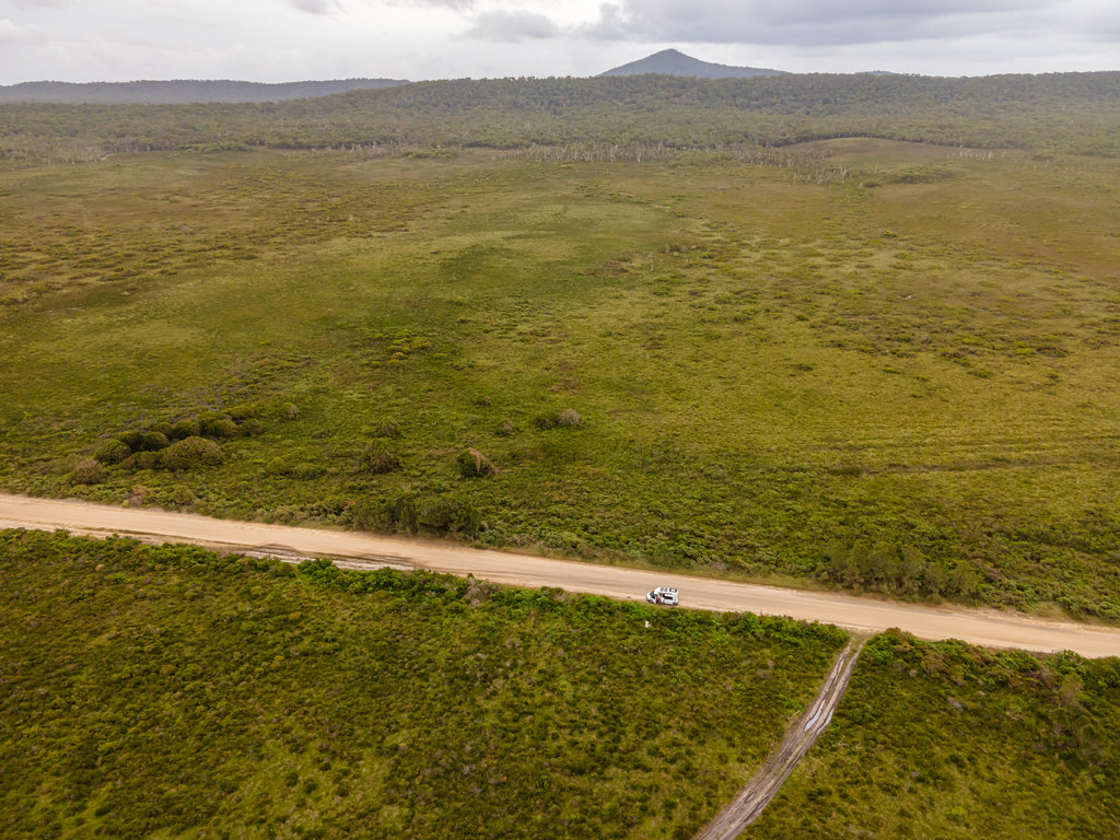 Tree Of Life Cakora Lake Brooms Head Drone45 Russell Charters Flickr