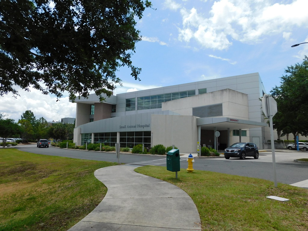UF Small Animal Hospital Gainesville, Florida Jimmy Emerson, DVM