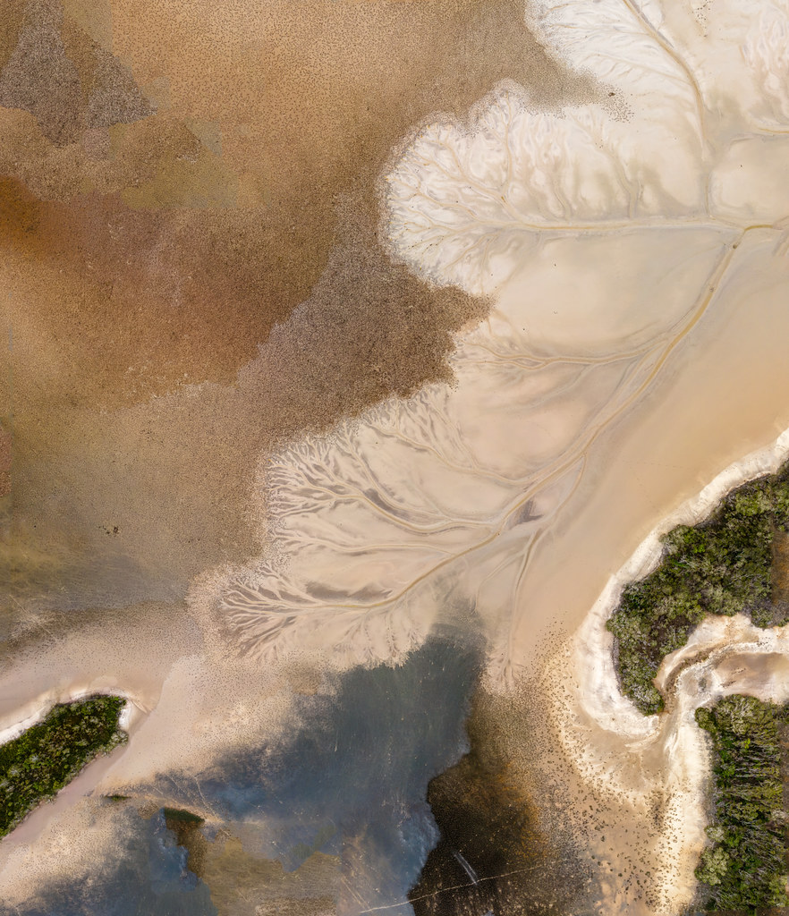 Tree Of Life Cakora Lake Brooms Head Drone37 Russell Charters Flickr