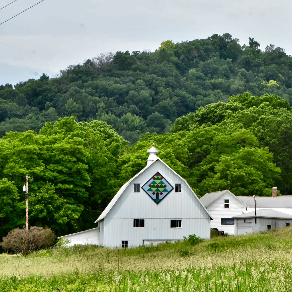 Barn art Bluff Siding, Wisconsin Buffalo County, WI Steve Lamb