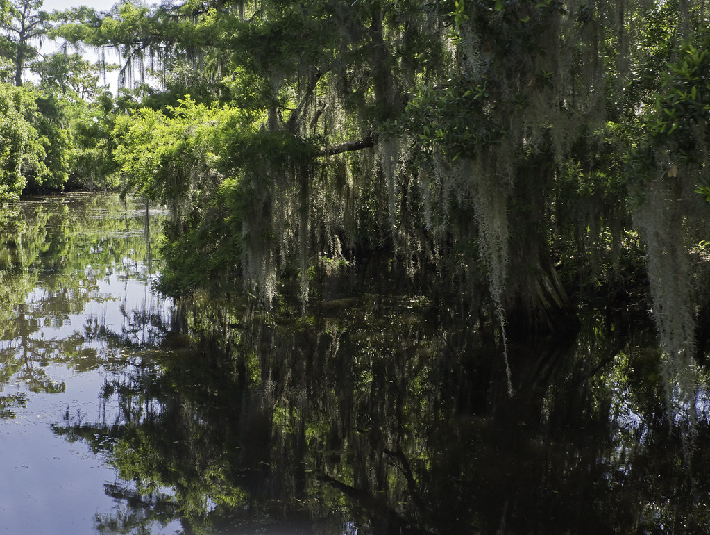 Bayou country in the Mississippi Delta, south of New Orle… Flickr