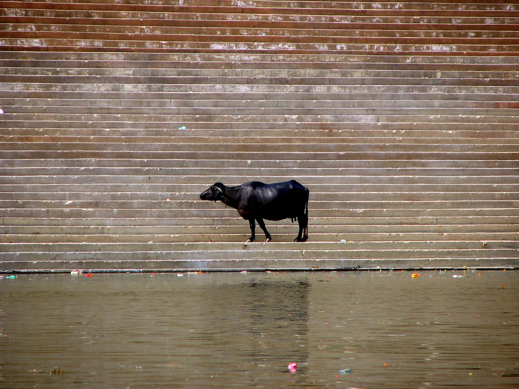 A new sexy nude selfie | taikuu | Flickr