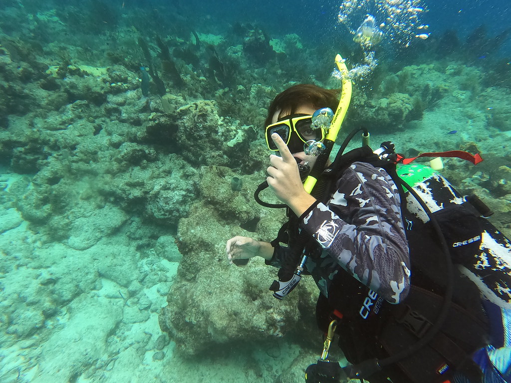 Scuba Dive Key Largo Florida Keys Scuba Dive Key Largo Flo… Flickr
