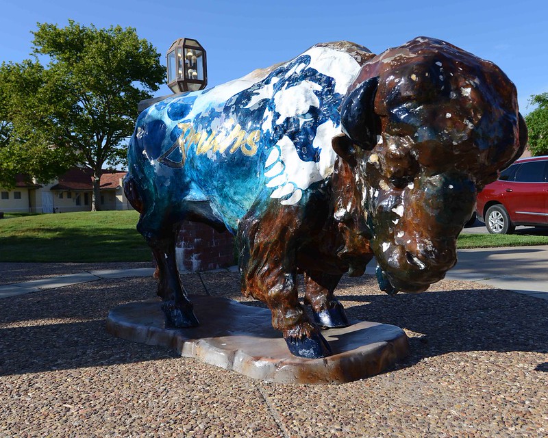 Bartlesville Buffalo Bruin Flickr