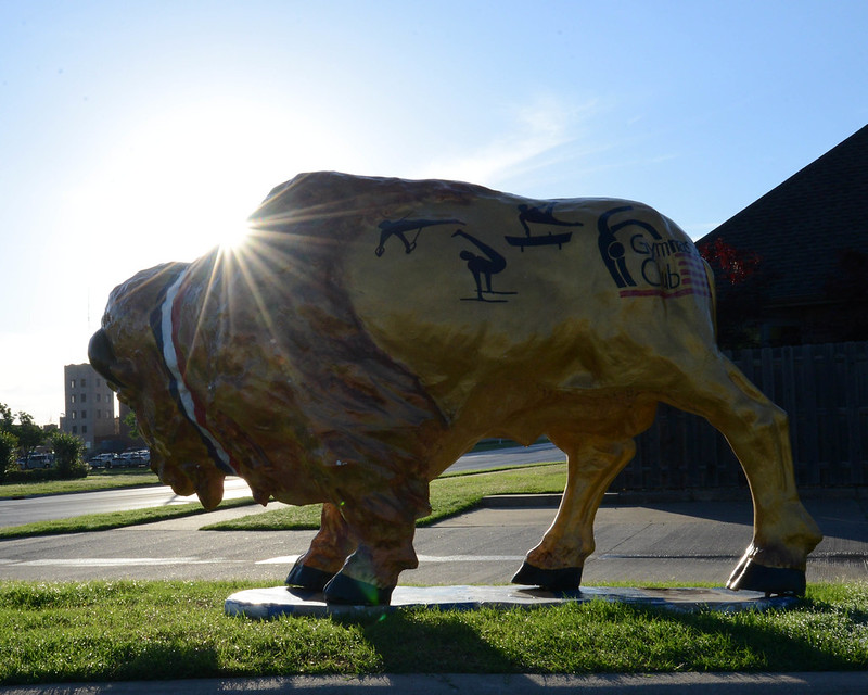Bartlesville Buffalo Favorites Flickr