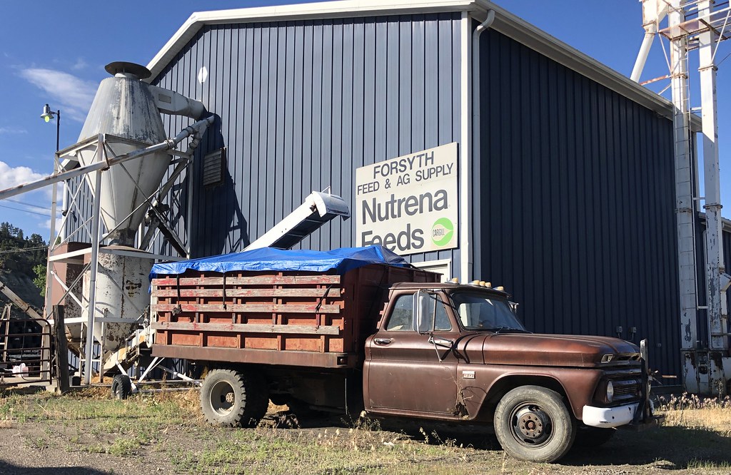 Seen in Forsyth,Montana montanatom1950 Flickr