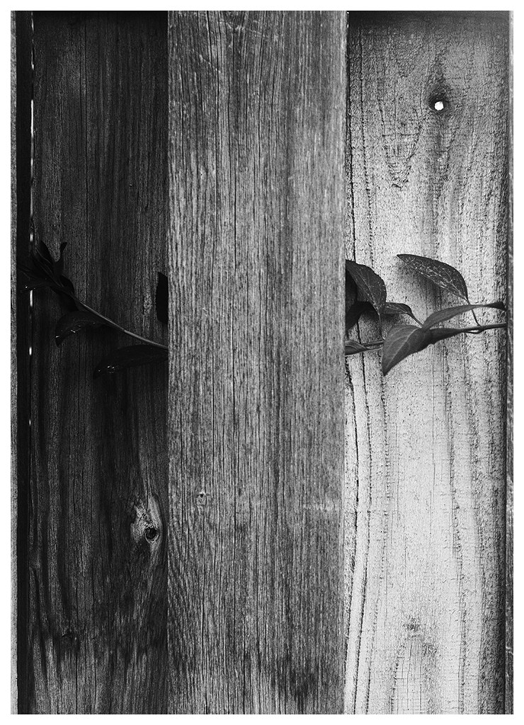 Conflict Bradley Clemens Flickr