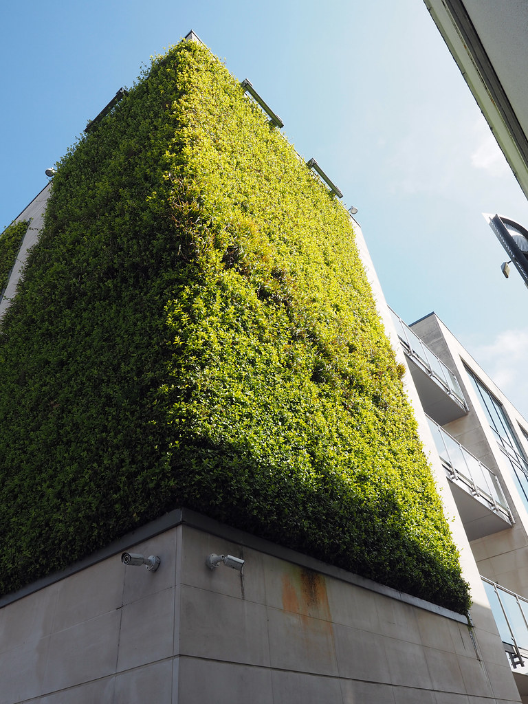 green wall Stonehouse, Plymouth, Devon Chris Flickr