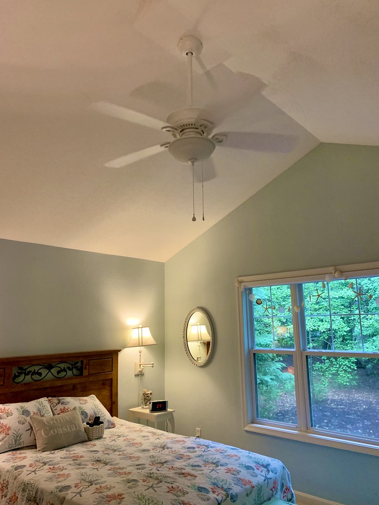 New ceiling fans The Daring Librarian! Flickr