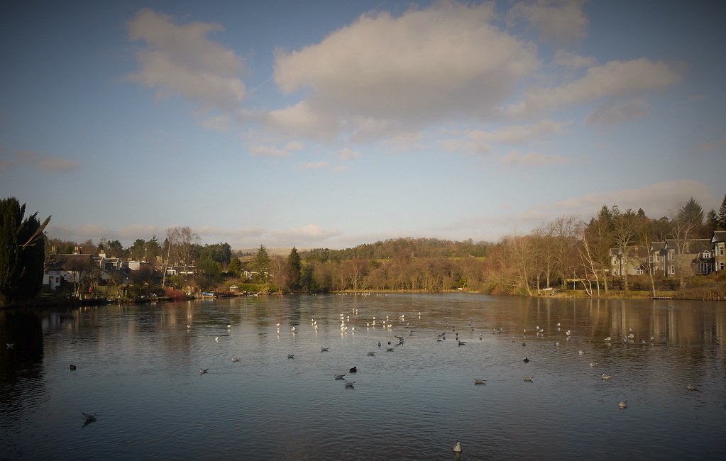 Tannoch loch, Milngavie. Glasgow. Slightly Frozen From my … Flickr