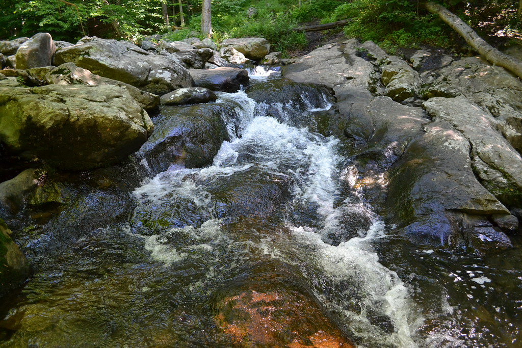 India BrookMendham, NJ Ed Stoerger Flickr