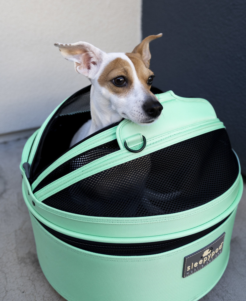 Sleepypod mobile pet bed Robin Egg Blue Sleepypod Library Flickr