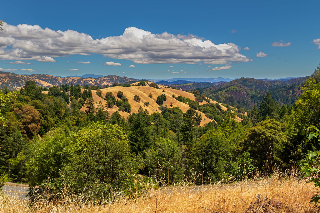 Stewarts Point, CA Claudette Bleijenberg CLAUDETTE BLEIJENBERG Flickr