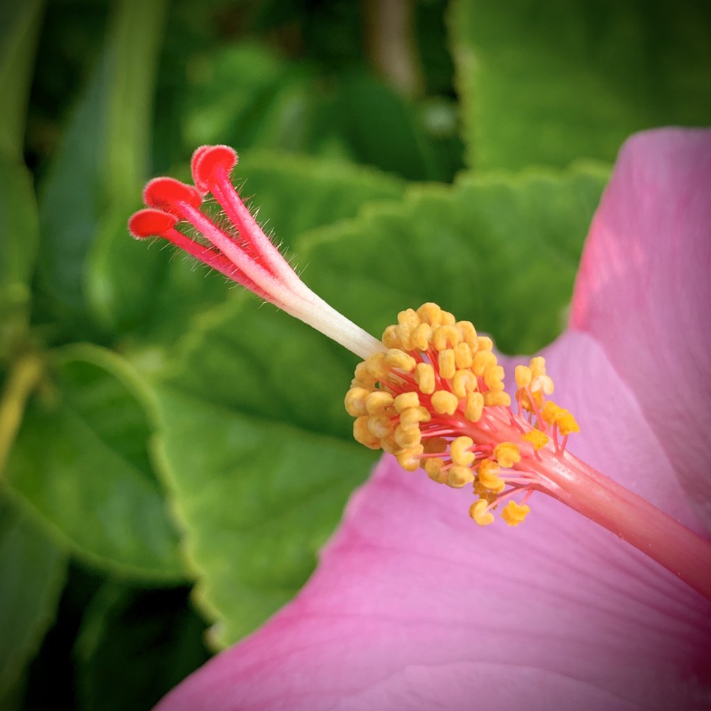 The novelty has worn off ktmqi Flickr