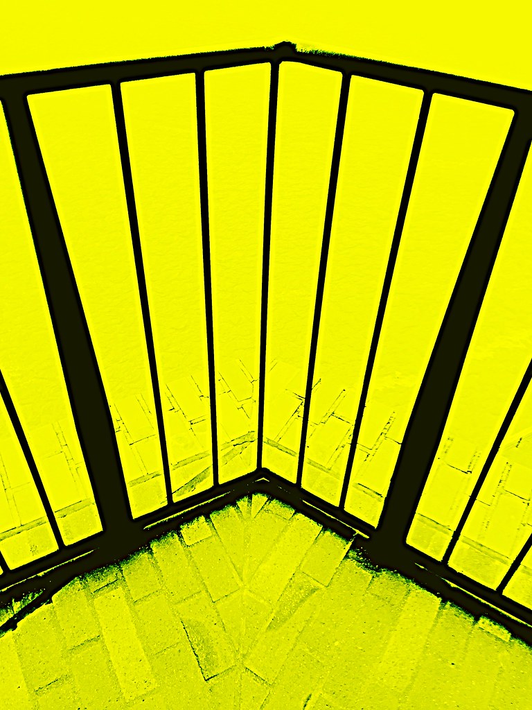 Yellow and black Daniel Flickr