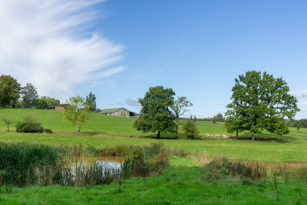 Looking North West towards Broadview Farm, Cold Ash Flickr