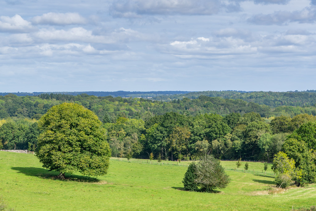 Broadview Farm Flickr