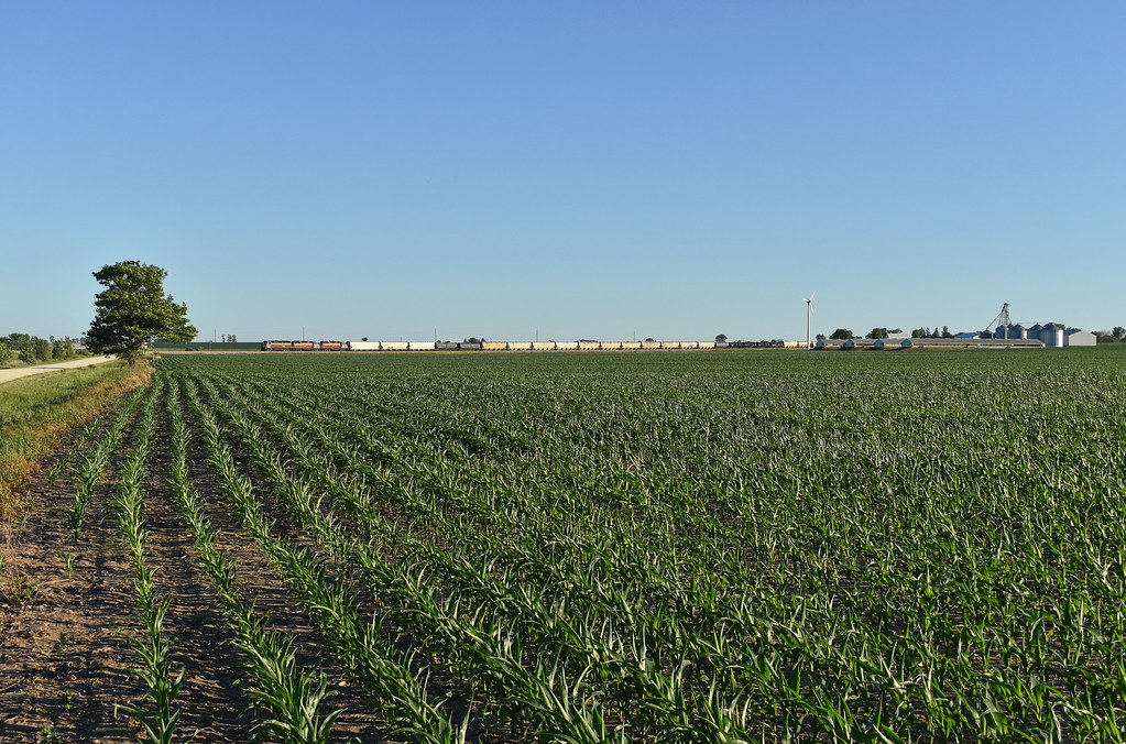 Actual field shot The IANR Oelwein job rolls into the name… Flickr