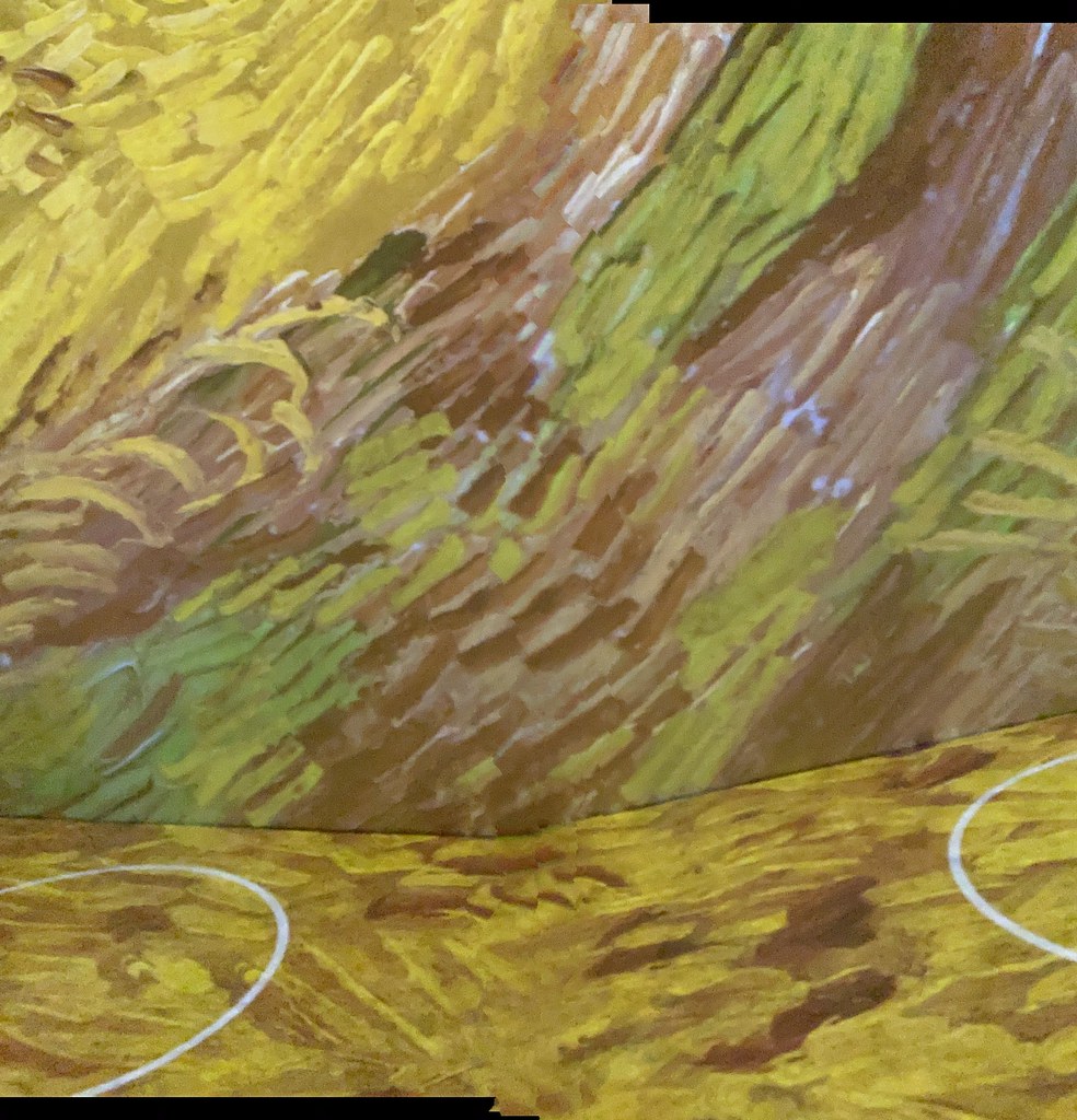 Van Gogh Immersive exhibit NYC 2021 lorna Flickr