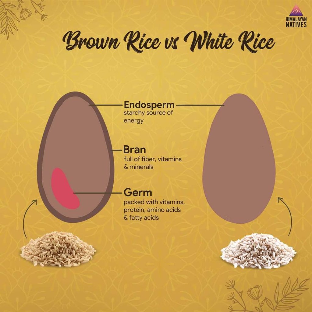 Why is brown rice more nutritious than white rice? Flickr