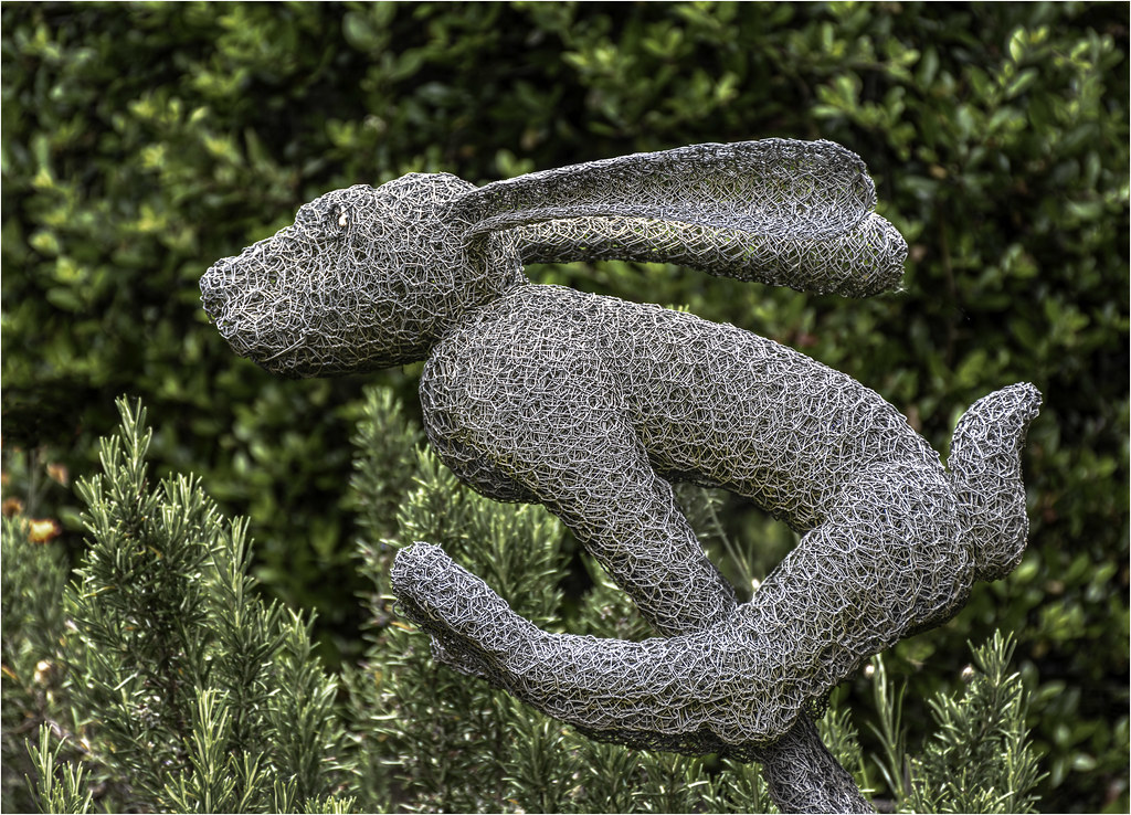 Wired Hare The Affordable Garden Art Exhibition showcases … Flickr
