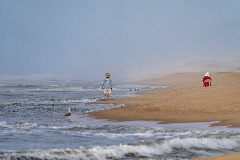 Walking on the Beach Part 2 Amagansett, NY Selim Suner Flickr