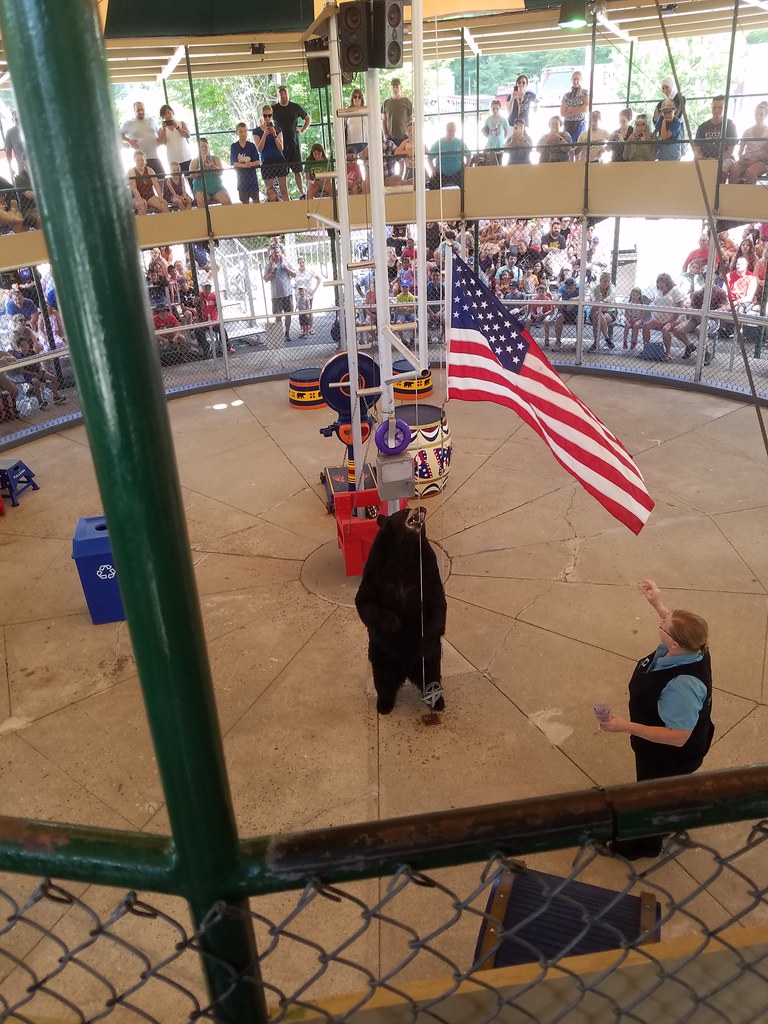 Clark's Bears/Trading Post goldenbicep Flickr