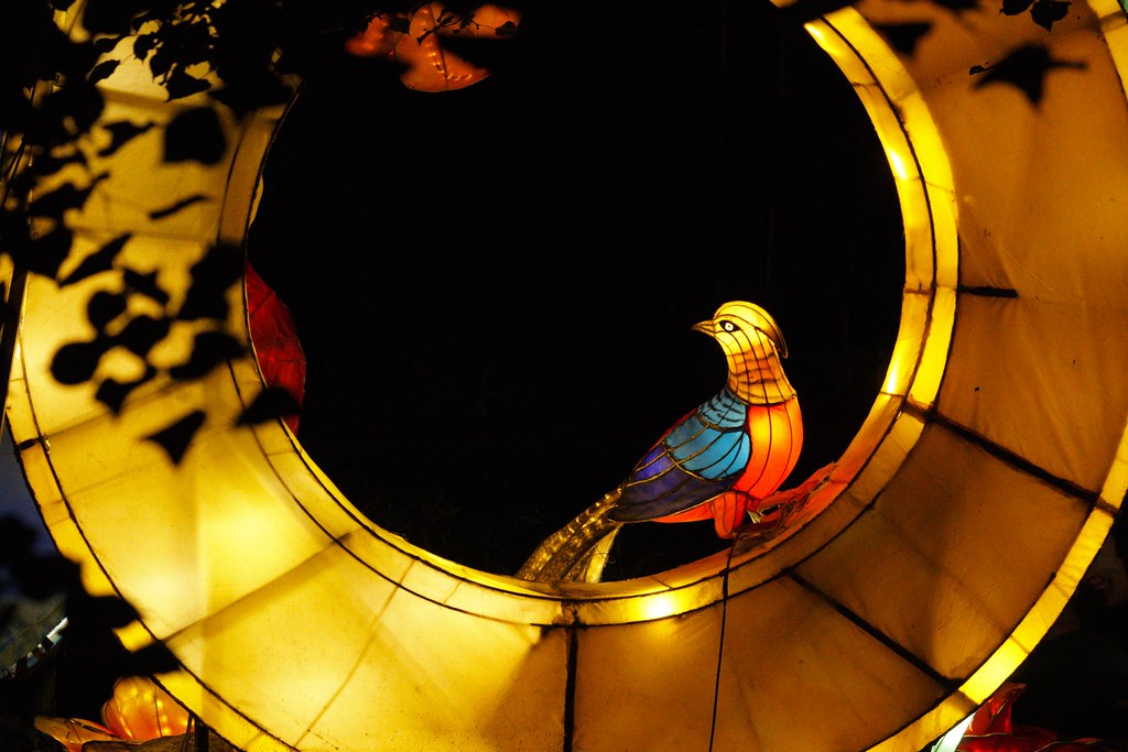 Asian Lantern Spectacular Authentic Chinese lanterns lit u… Flickr