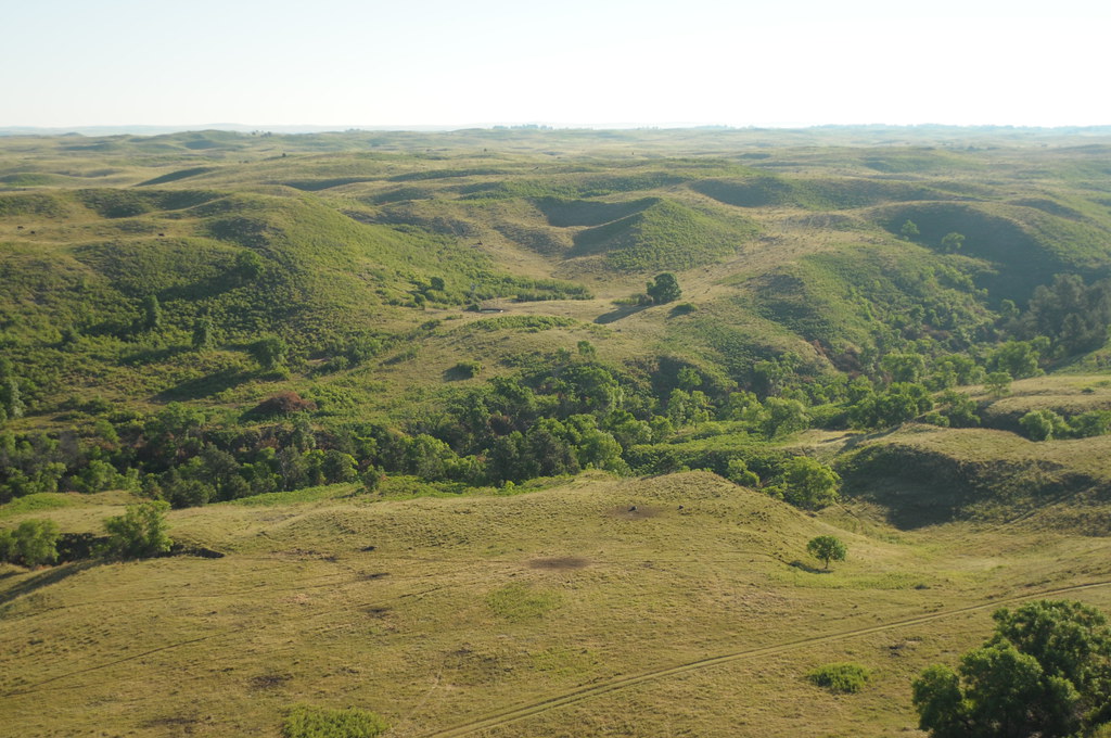 Aerial View McKelvie National Forest, Sandhills, Nebraska Flickr