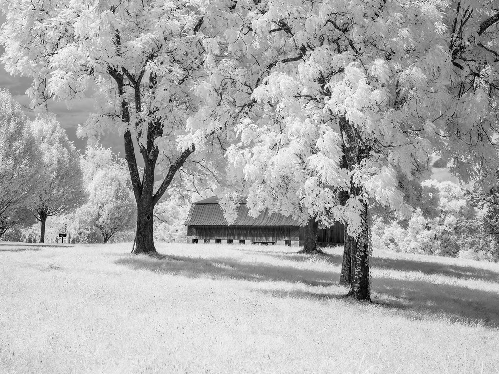 North Carolina Near DysartsVille Greg Johnson Flickr