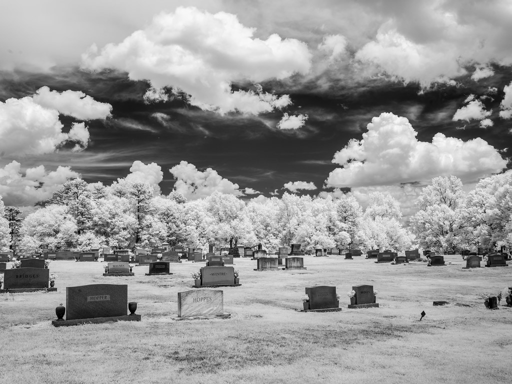 North Carolina Drive from Charlotte to DysartsVille Flickr