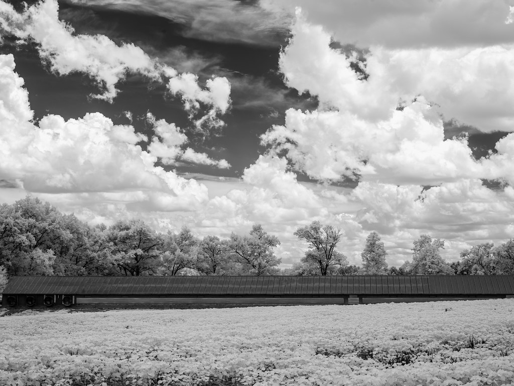 North Carolina Drive from Charlotte to DysartsVille Flickr