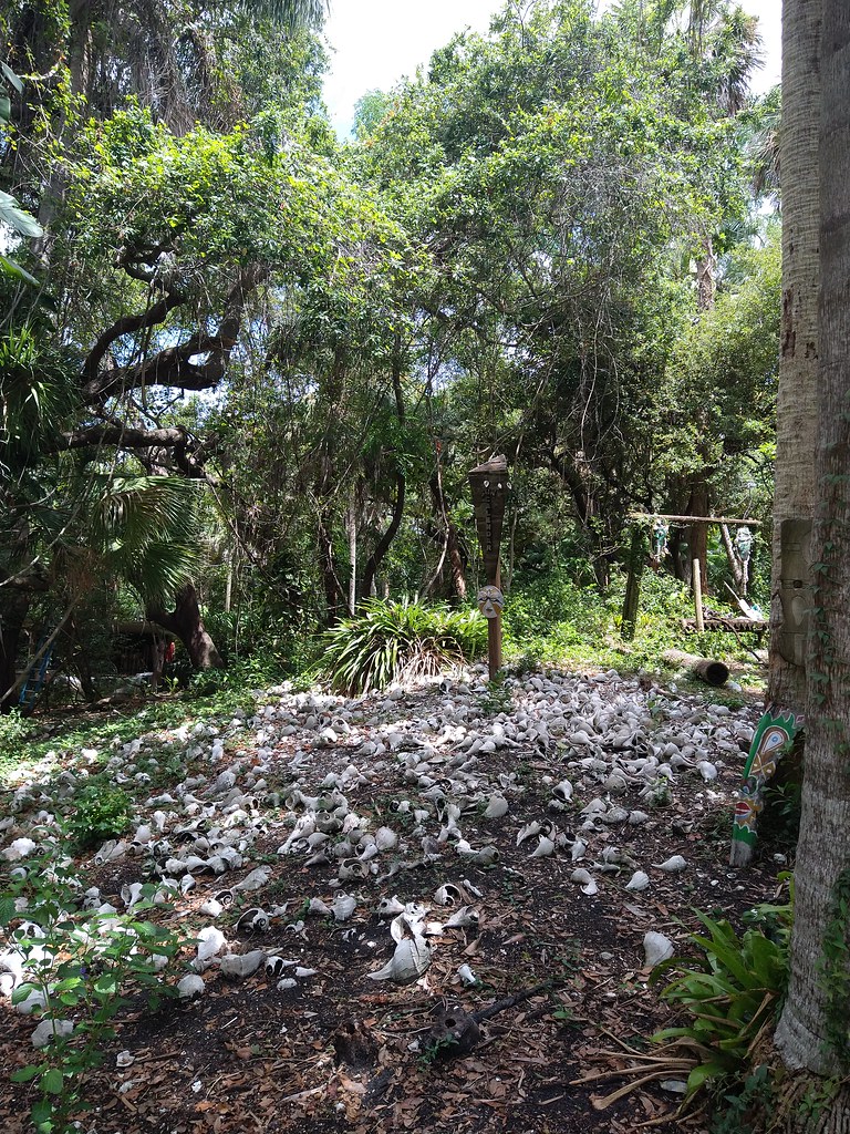 Shell Mounds Jungle Prada Mounds amanderson2 Flickr