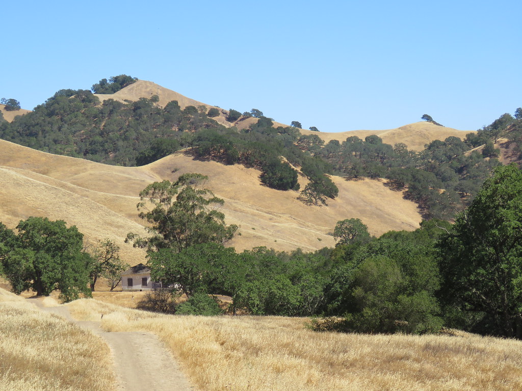 IMG_5076 Territory, Old Finley Road. The house mean… Flickr