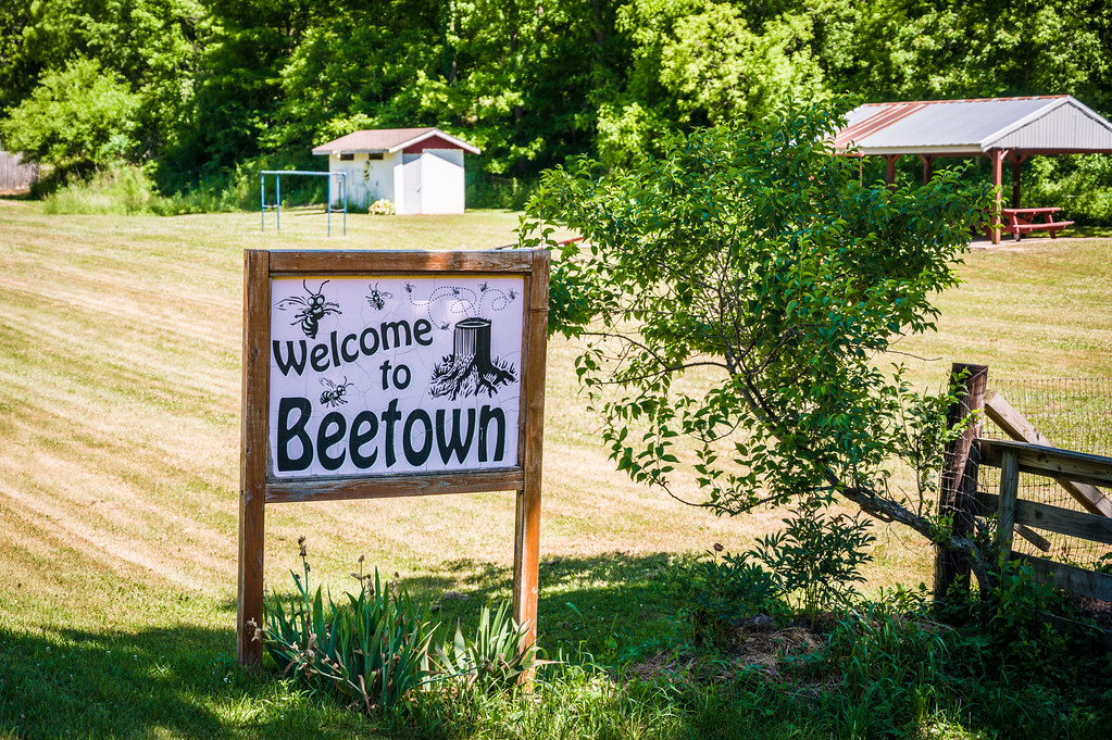 to Beetown Stop by the visitor's center for some s… Roaming