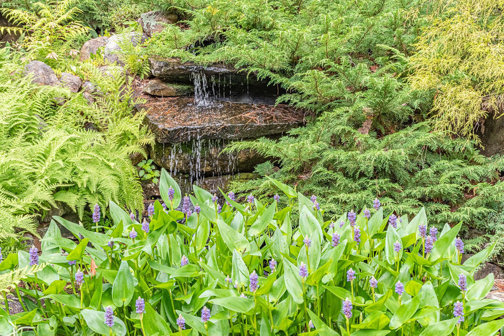 Tarbin Gardens Franklin, NH K2parn Photography Flickr