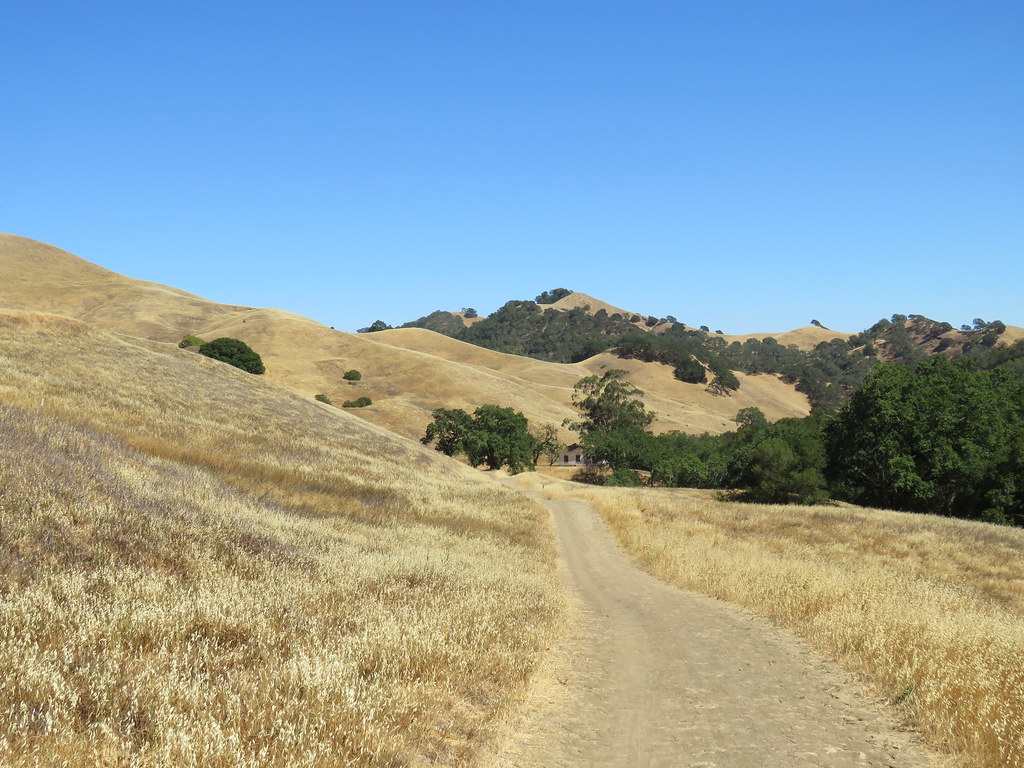 IMG_5075 View from Old Finley Road, Territory Regio… Flickr