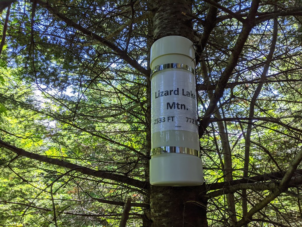 Mont du Lac Lezard & Liberator Flickr