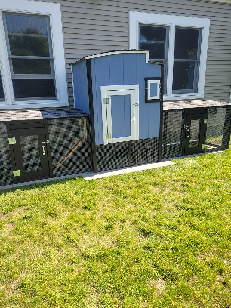 Custom chicken coops and run sunnyside coops Flickr