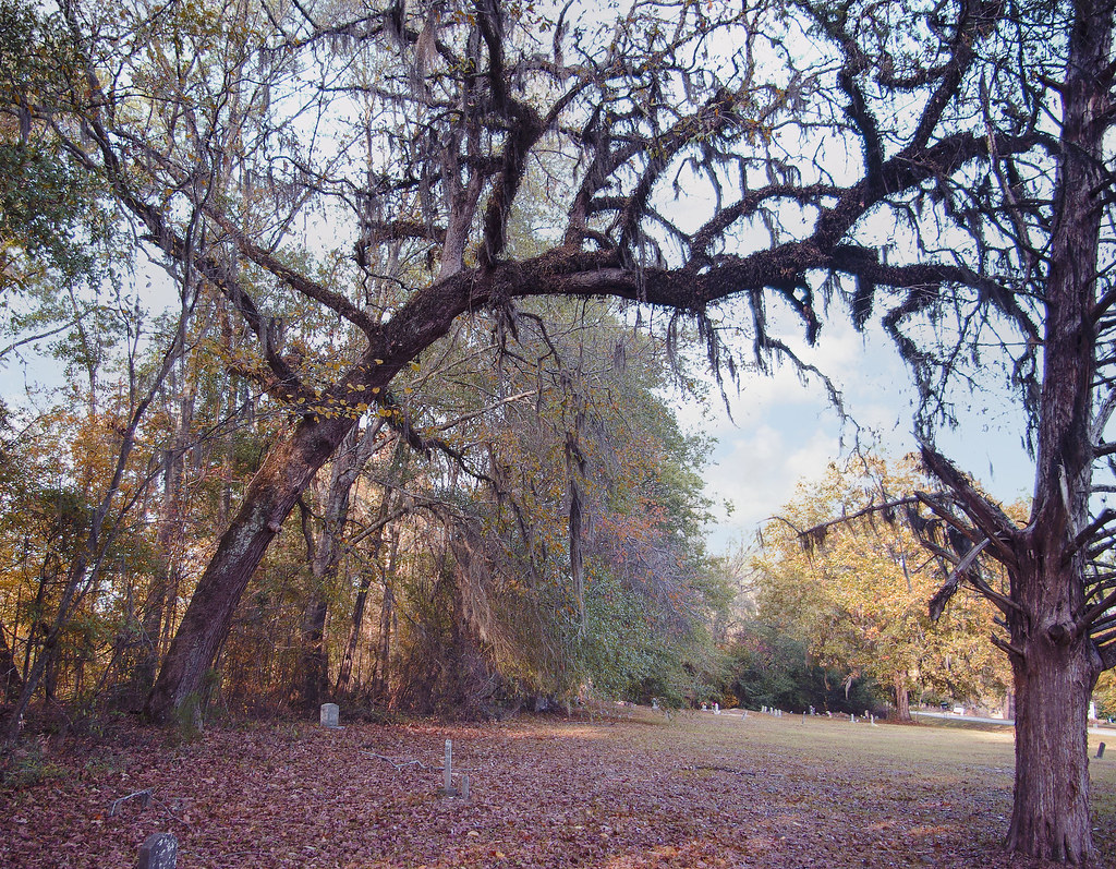 IMGP9932M Harrisville, MS Old Cemetary along Pearl River.… RWD_me