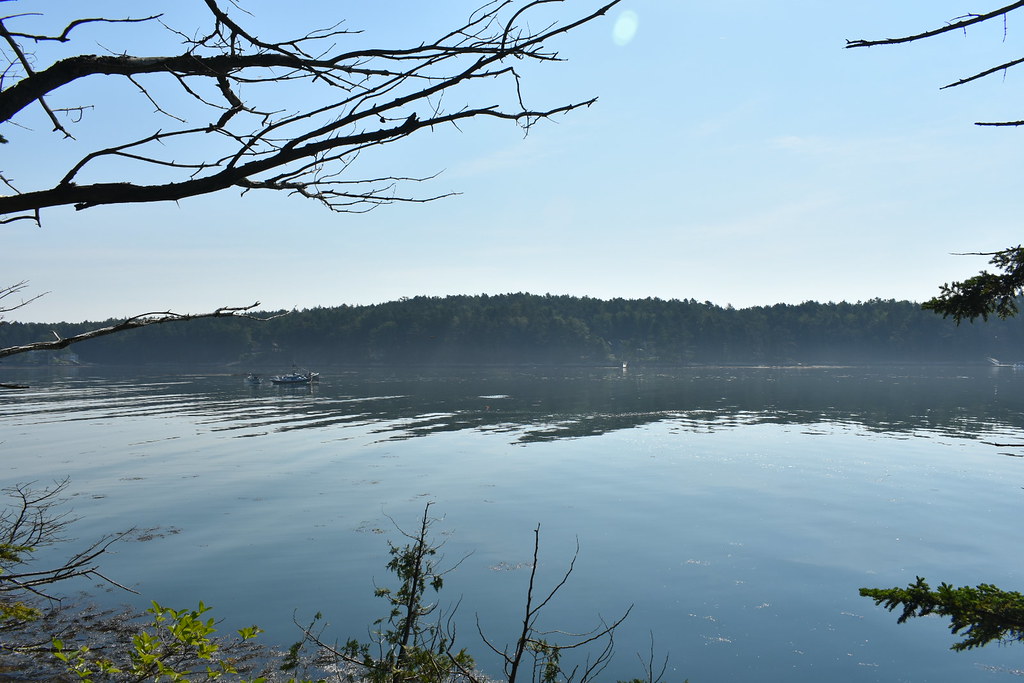 Devil's Back Trail Area. Harpswell, Maine Sam T Flickr