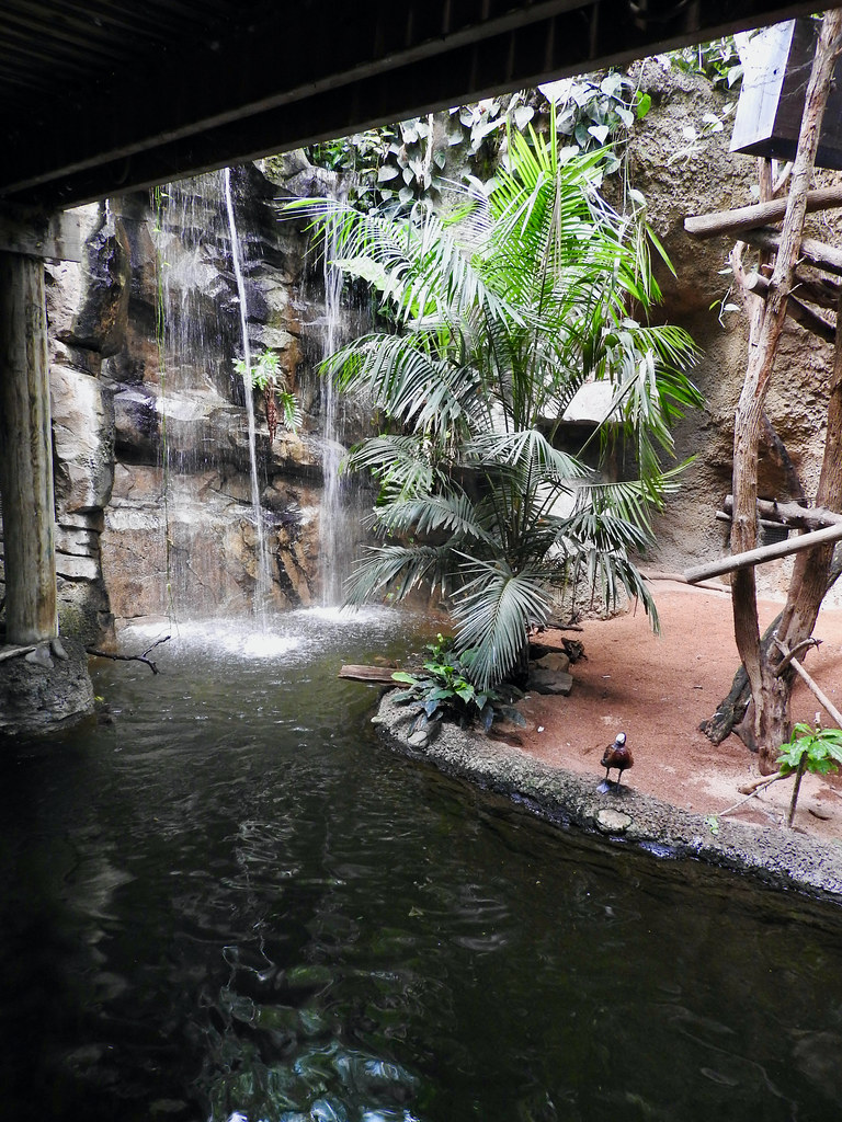 Mesker Park Zoo The Mesker Park Zoo in Evansville, Indiana… Flickr