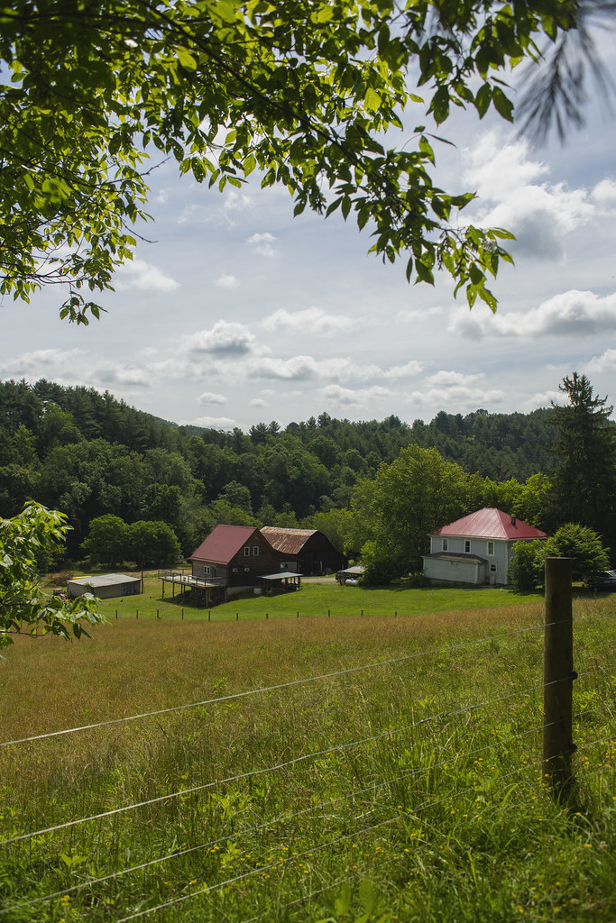 Big Indian Music Camp 2021 Big Indian Farm in Willis, Virg… Flickr